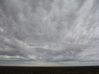 _from where the skies look ominous